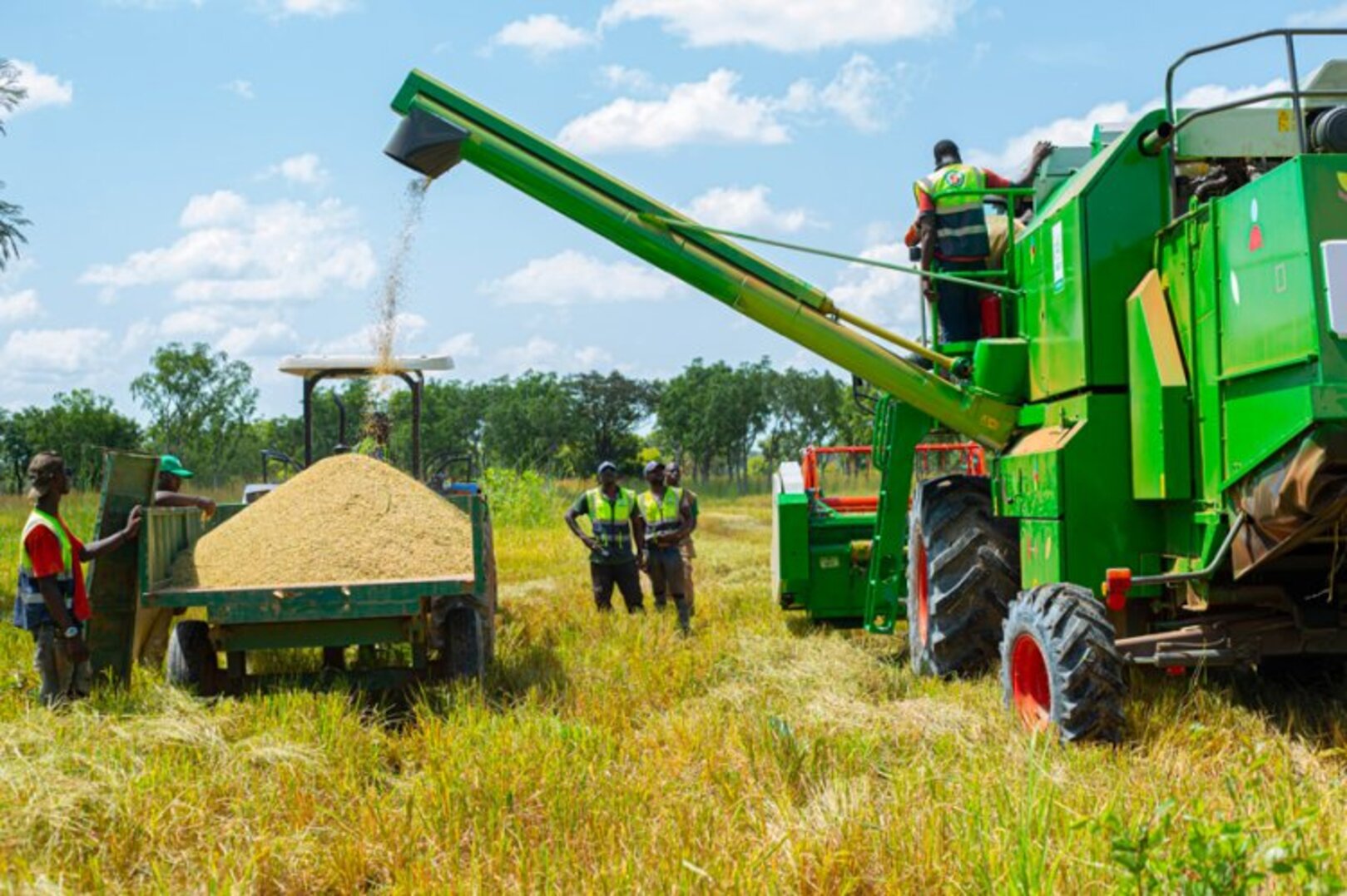 Côte d’Ivoire: 68.35 Billion FCFA to Transform the Rice Sector and Reduce Imports